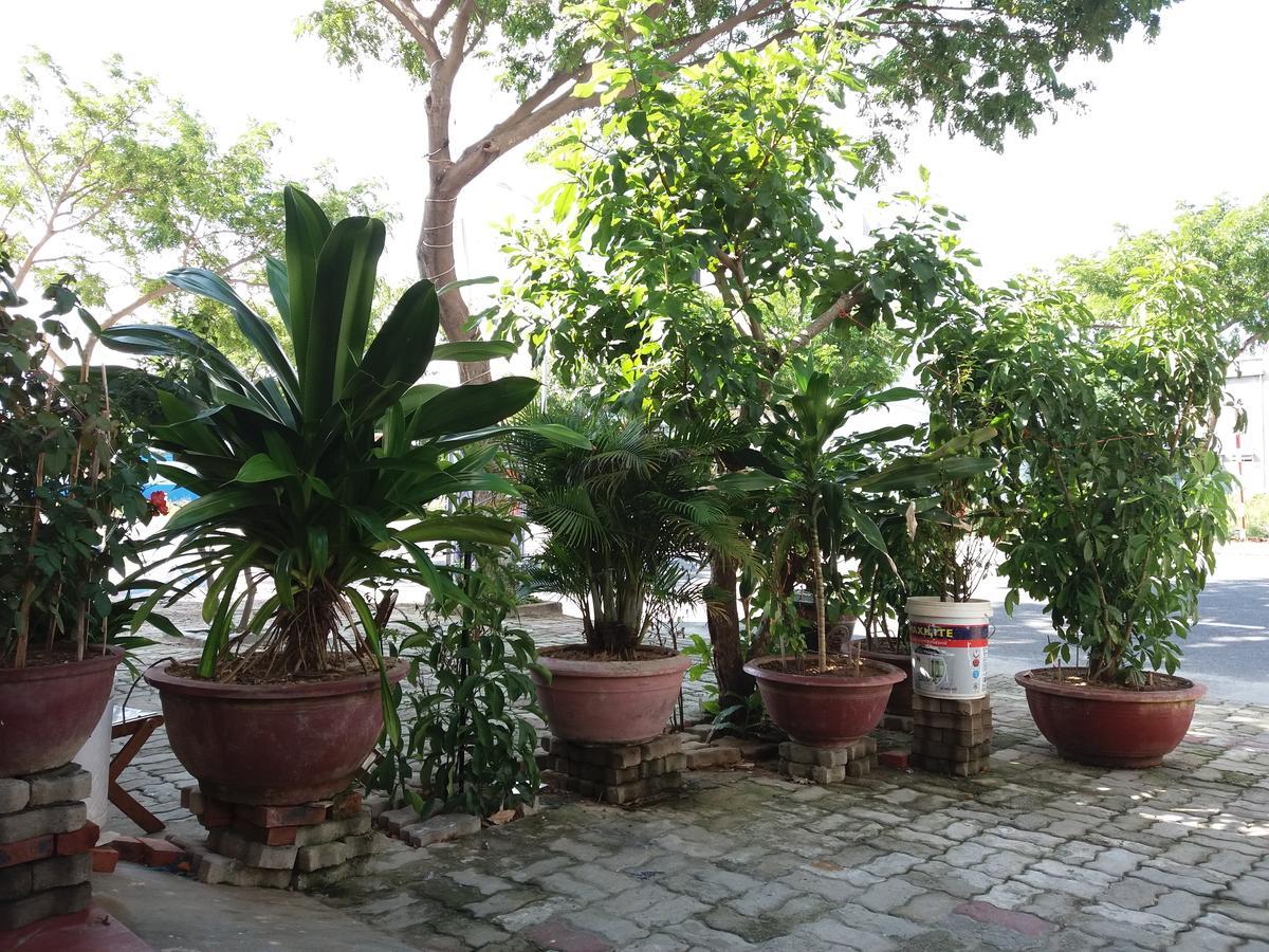 Thai Binh Motel Ντα Νανγκ Εξωτερικό φωτογραφία